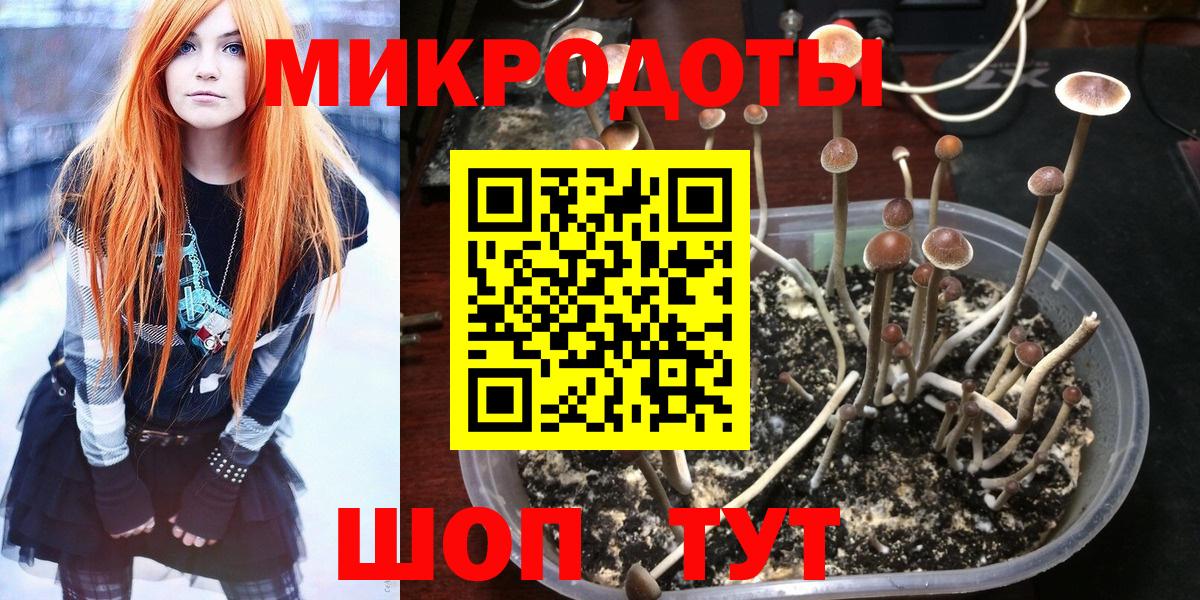 Псилоцибиновые грибы MAGIC MUSHROOMS  Вход с VPN  Псилоцибиновые грибы прущие грибы  Куйбышев 