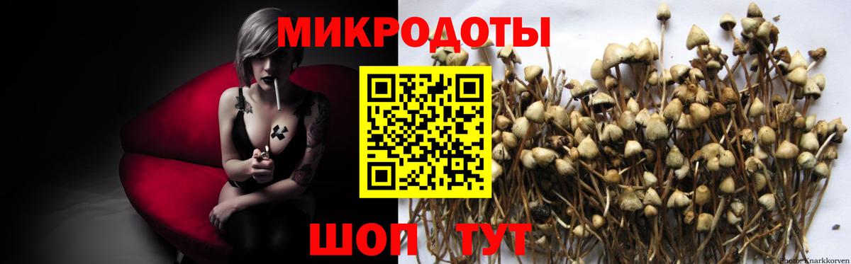 Галлюциногенные грибы прущие грибы Куйбышев